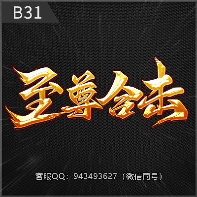 B31至尊合击